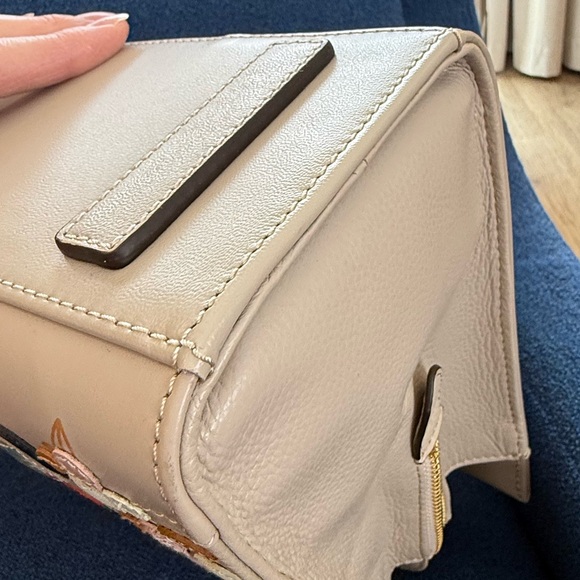 RARE Radley London Picture Bag Radley to the Core Apple Satchel Bag _Price Firm - Picture 9 of 17